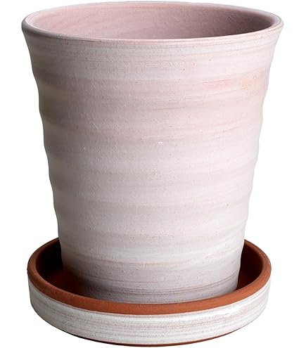 Amazon.co.jp: 縄文土器デザインミニ植木鉢(本焼き) : DIY・工具